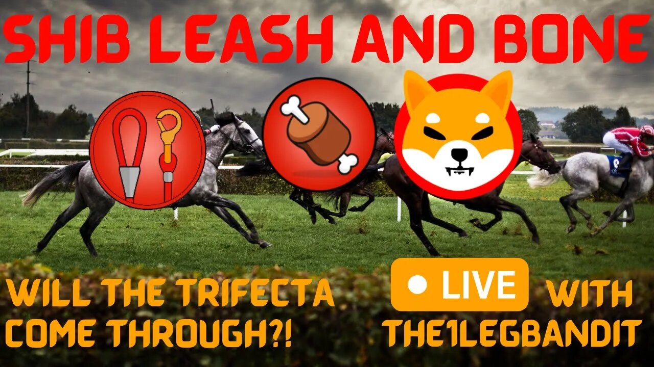 WILL THE TRIFECTA COME IN SHIB LEASH and BONE