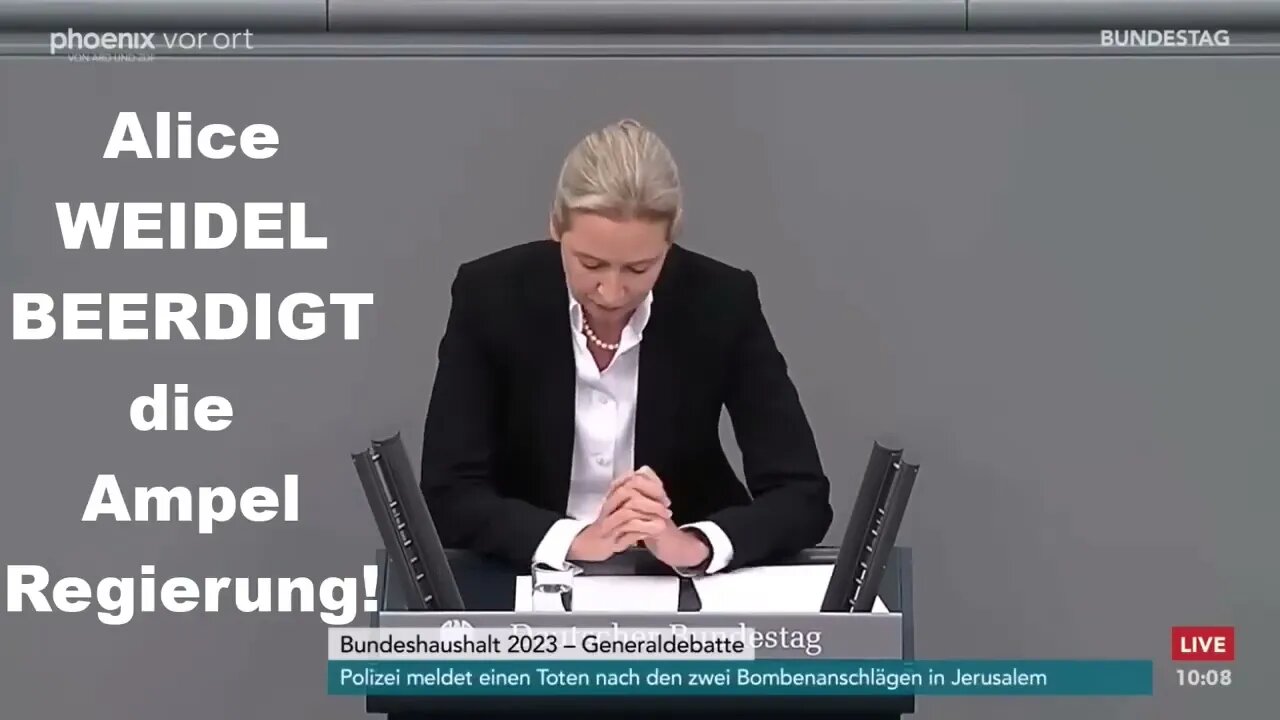 Alice WEIDEL beerdigt die Ampel Regierung!