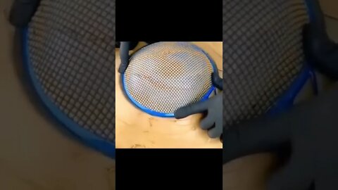 Too much Satisfying 🔥 #412 #asmr #satisfying #shorts #trending