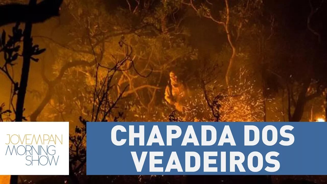 Mais de um quarto da área da Chapada dos Veadeiros é consumida por incêndio