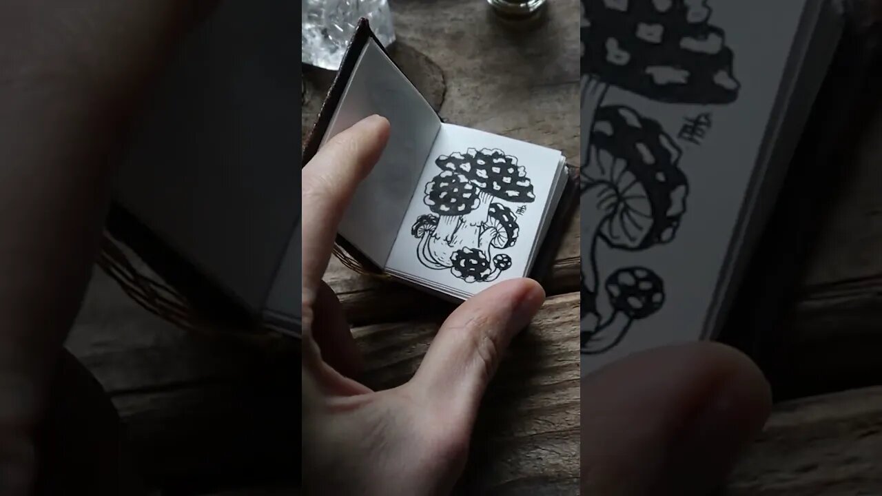 🍄 Miniature Mushroom Illustration Display 🍄