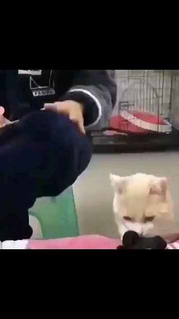 Love me please 😘😘