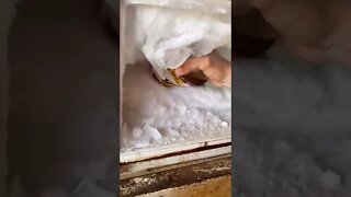 Fridge Routine Tiktok wlearly