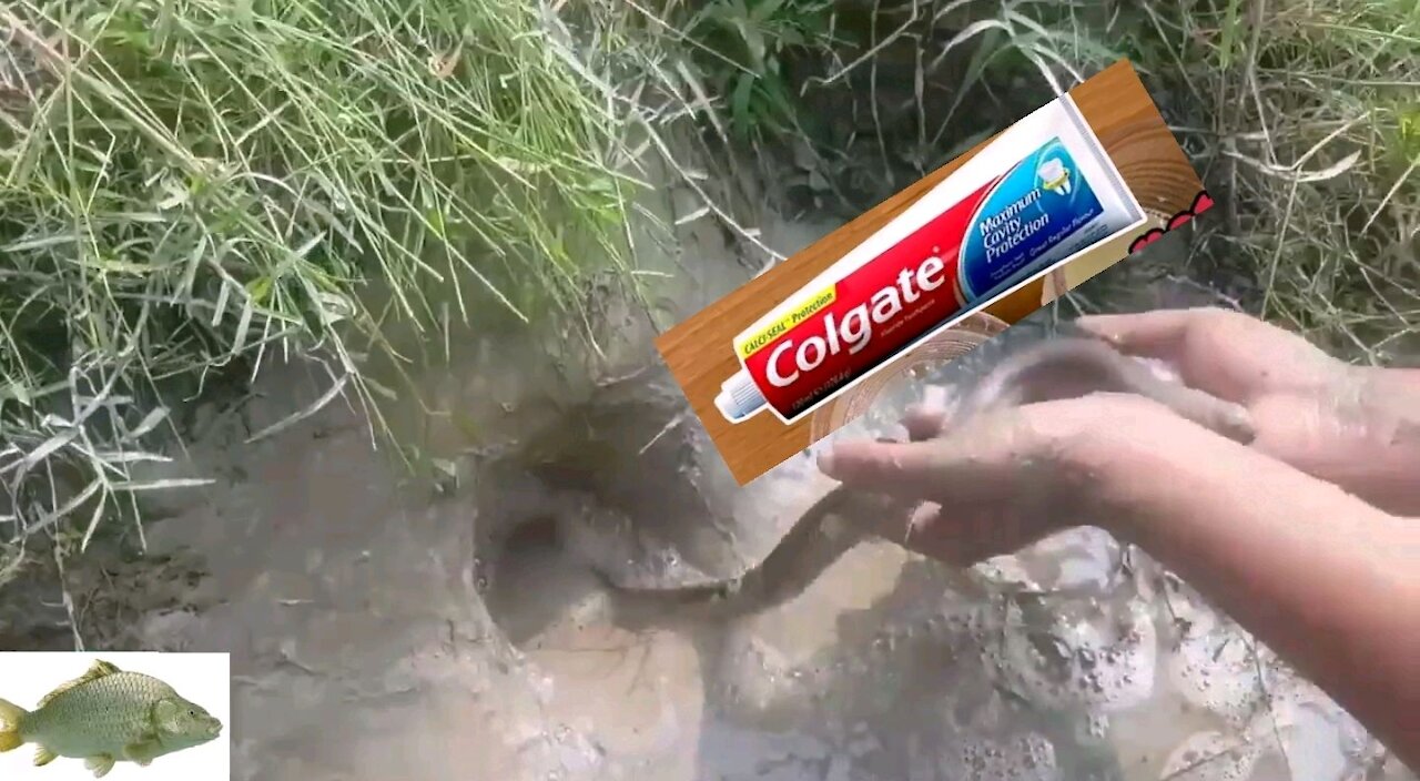 FISH CATCHING SYSTEM