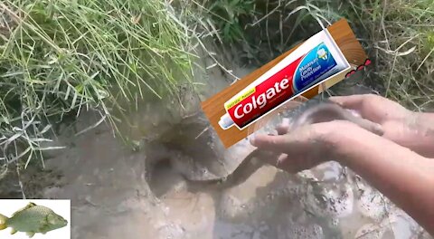 FISH CATCHING SYSTEM