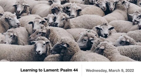 Learning to Lament: Psalm 44 - Wednesday, March 9, 2022