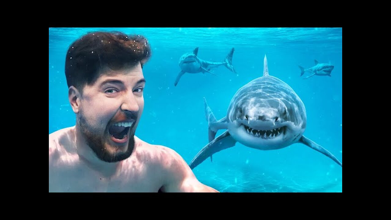 would you swim with sharks for 100,000?