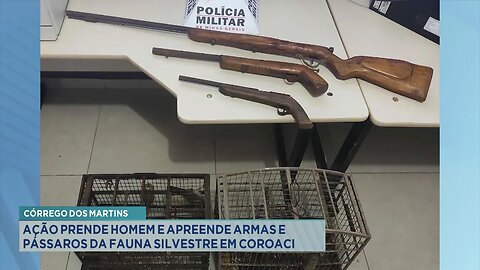 Córrego dos Martins: Ação prende Homem e apreende armas e pássaros da Fauna Silvestre em Coroaci.