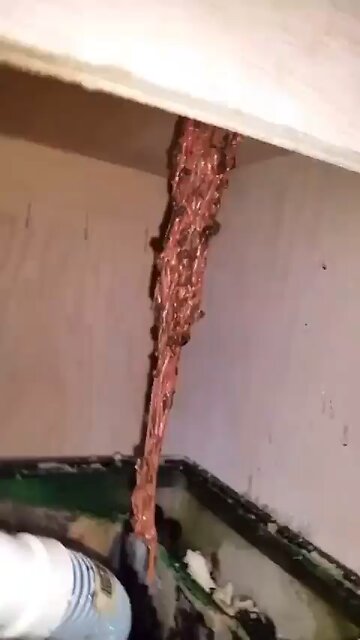 What IS this?! 👀😮