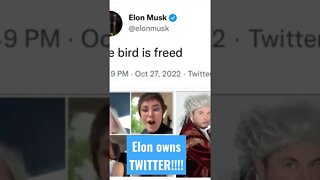 #ELONMUSK OWNS #TWITTER #FREEDOM #LOVE #LIFESTYLE #AMERICA