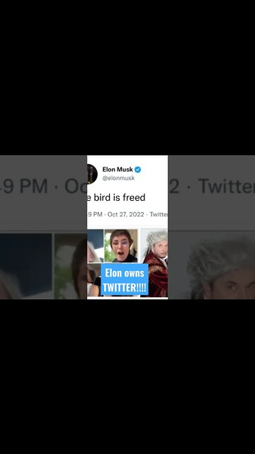 #ELONMUSK OWNS #TWITTER #FREEDOM #LOVE #LIFESTYLE #AMERICA