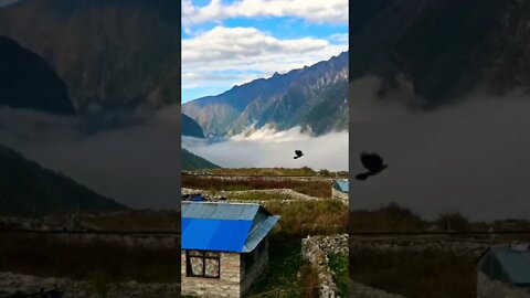 लाङटाङ/लम्टाङ उपत्यका माथिको बादलको नृत्य!😳😍 #Langtang #Lamtang #Rasuwa #Nepal