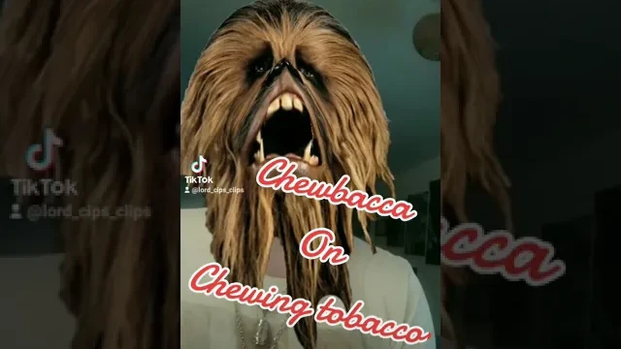 Chewbacca On Chewing Tobacca #chewbacca #starwars