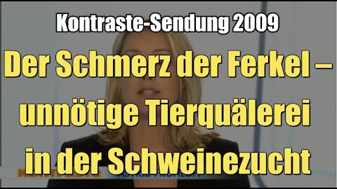 Der Schmerz der Ferkel – unnötige Tierquälerei in der Schweinezucht (Kontraste I 30.07.2009)