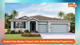 Avalon Park Wesley Chapel | Morning Blend