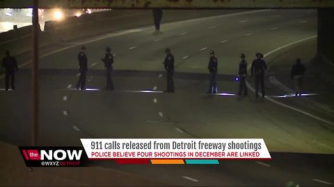 911 calls released following Detroit freeway shootings