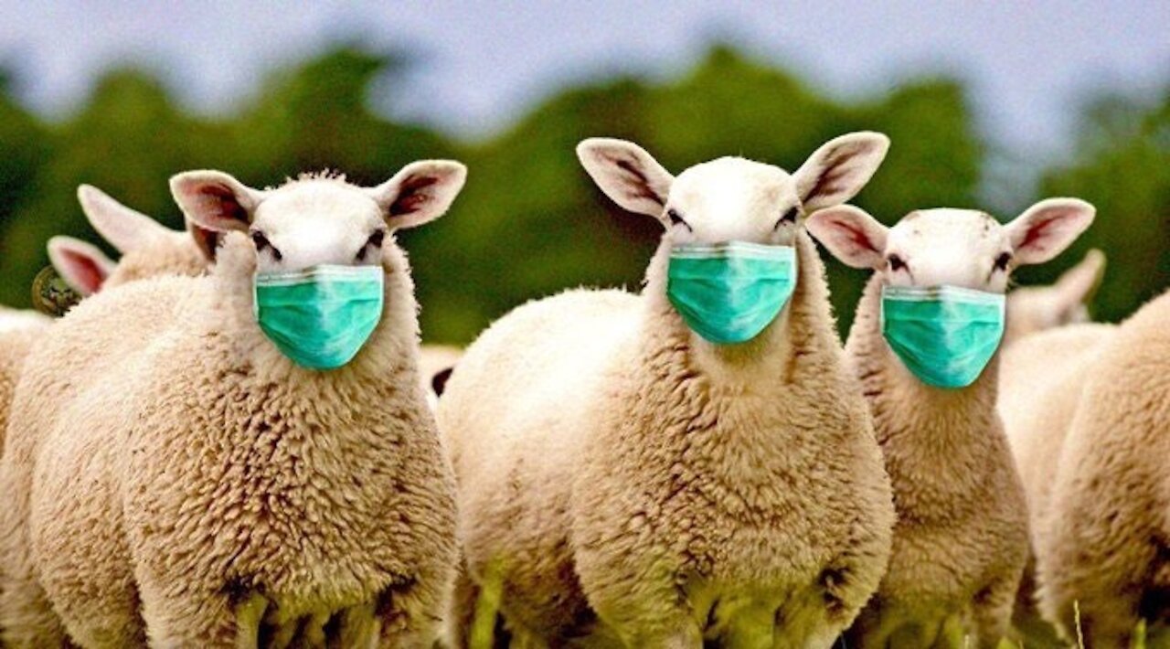 Masks Are Dehumanizing Us