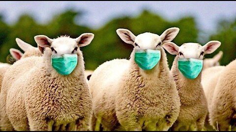 Masks Are Dehumanizing Us