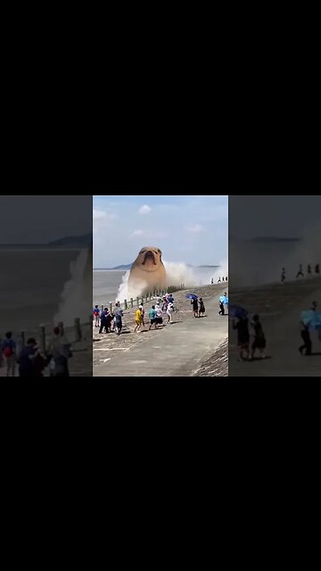 Cheech still making a splash