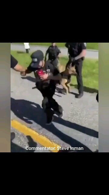 Fur Missile Compilation 2