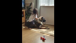 Adorable Girl with chicken pox plays with German Shepherd Dog