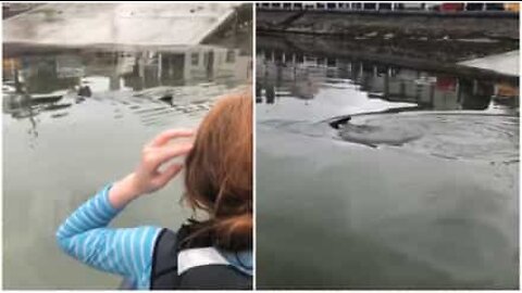 Kids spot shark during sailing class