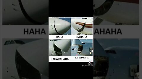 Hahaha :3 #clip #twitch #shorts #stream ##game #birb #baka #bird #fun #crazy #meme #memes #plane