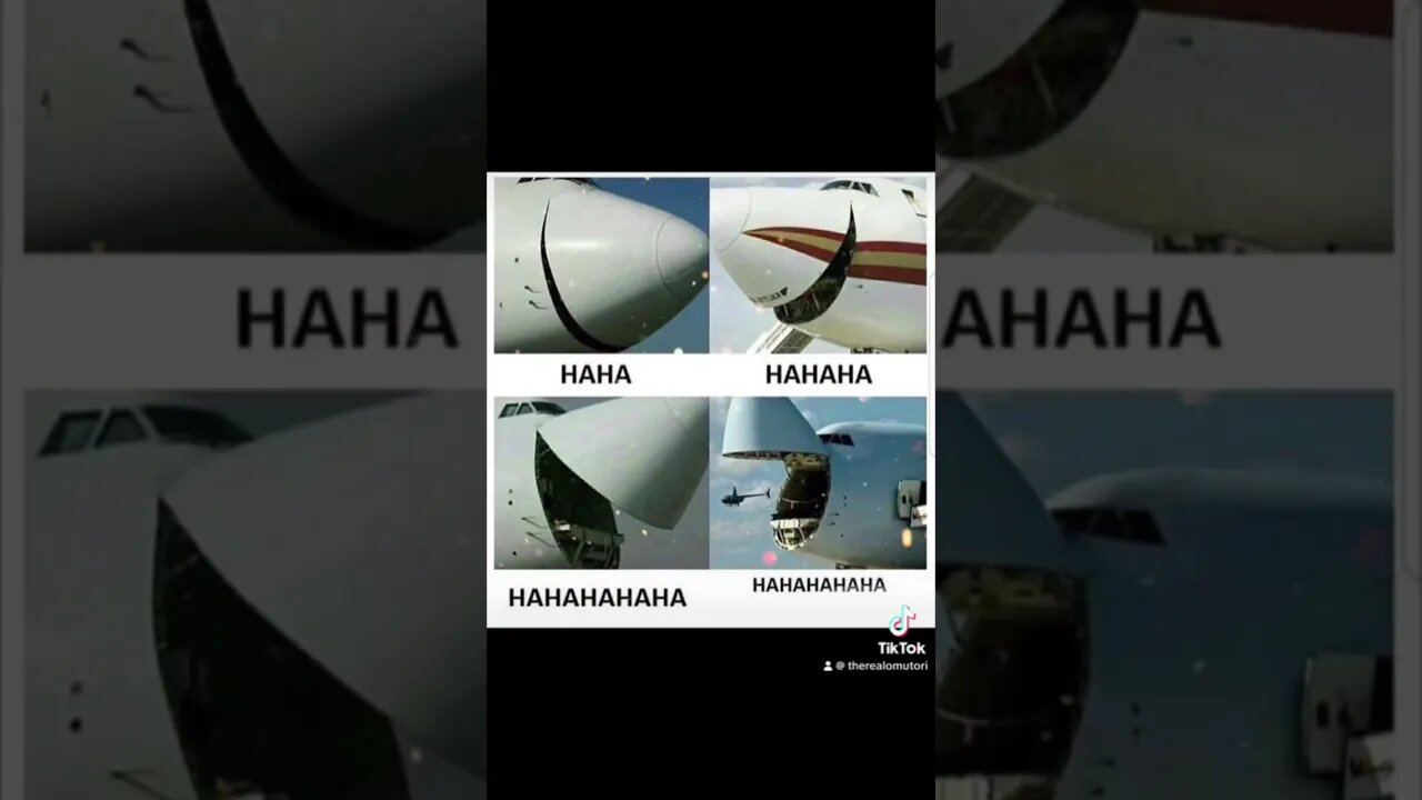 Hahaha :3 #clip #twitch #shorts #stream ##game #birb #baka #bird #fun #crazy #meme #memes #plane