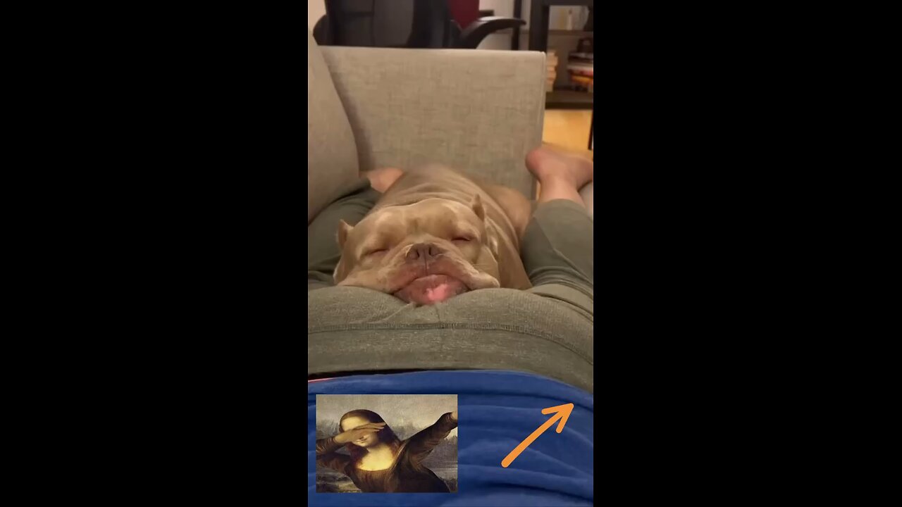 #petlovers🫶🧖😈😅