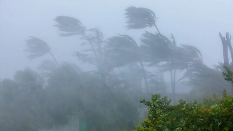 Hurricane Irene - Full On !!