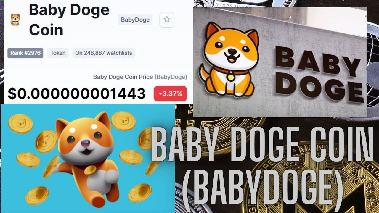 Baby Doge Coin Price (BabyDoge) current value $0.000000001443