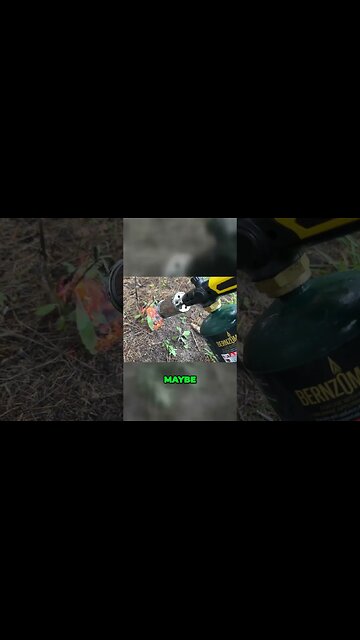 Experience the Thrilling Power of Fire with This Handheld Torch