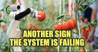 Another Sign The System Is Failing