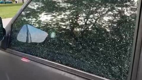 Dozens of LS cars vandalized with air rifle