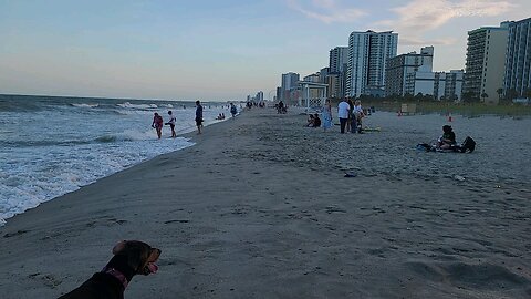 Walking on the Beach in Myrtle Beach SC