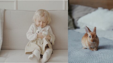 Cute girl and 🐰Rabbit's ❤❤❤🥰🥰