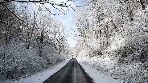 ❄️Nature's Cathedral ❄️
