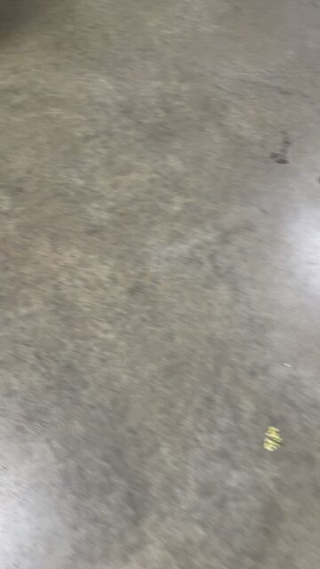 Brad Raffensperger - Runs everytime