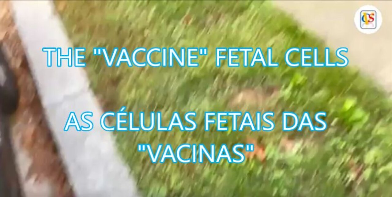 THE "VACCINE" FETAL CELLS * AS CÉLULAS FETAIS DAS "VACINAS"