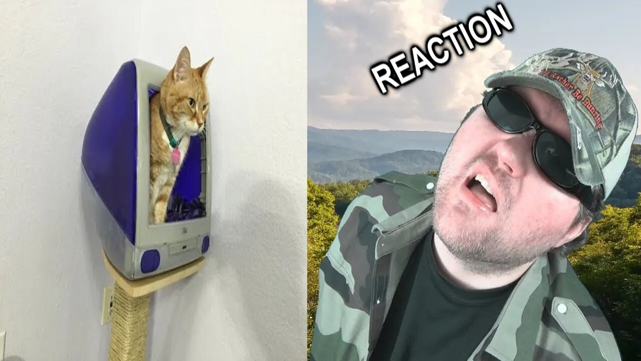 Build An iMac G3 Cat House The 8-Bit Guy REACTION!!! (BBT)