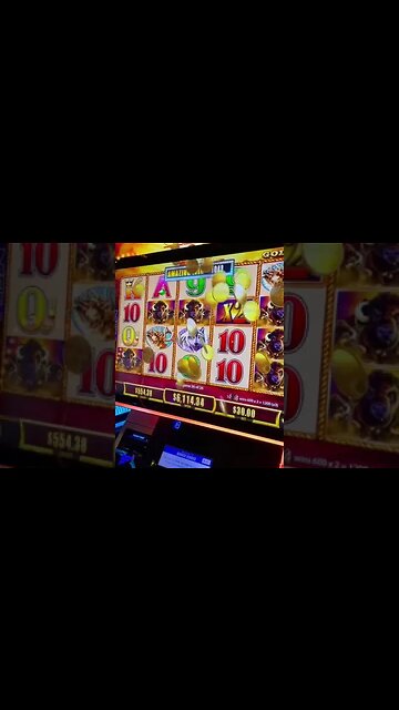 High Limit Buffalo Gold Jackpot!