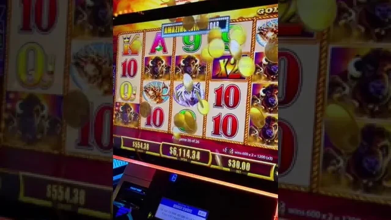 High Limit Buffalo Gold Jackpot!