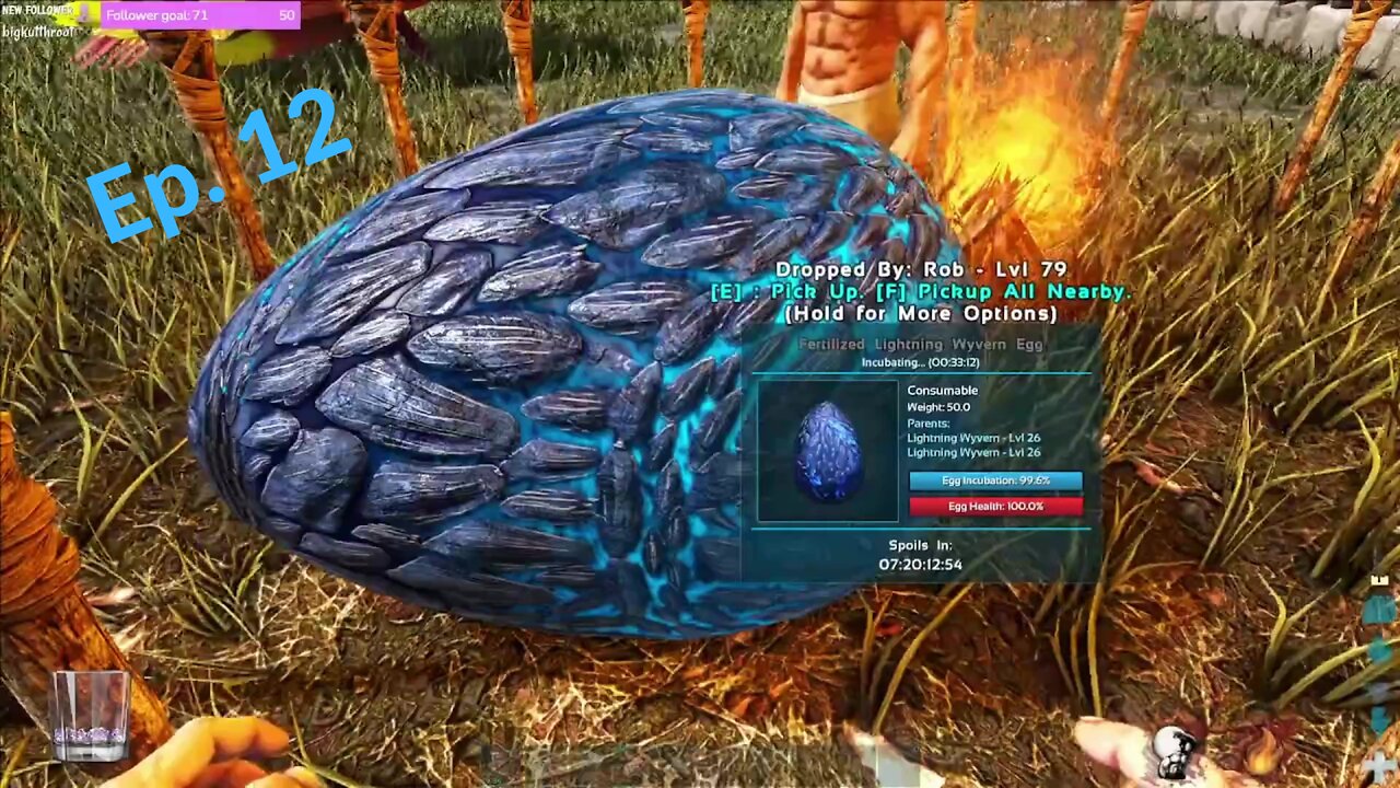 The Hatching Of The Wyverns. Ark Ragnarok Ep. 12