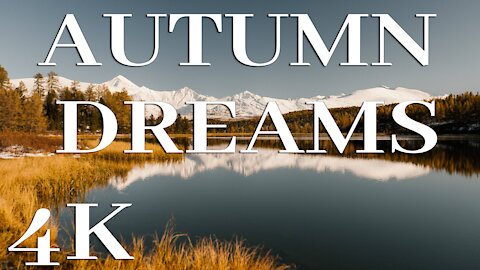 Autumn Dreams 2021 Piano Relaxing Music