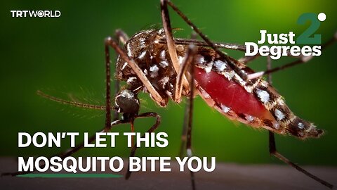 Just 2 Degrees: Concerns over Oropouche Virus