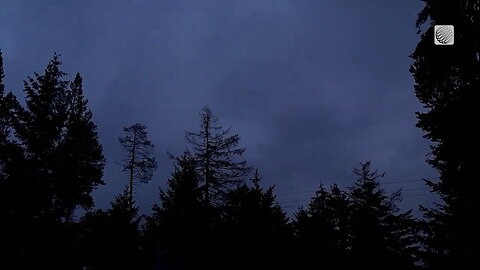 A grey evening turns to night in Nanaimo, BC