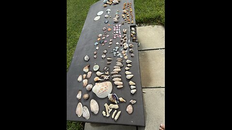 Beach Finds 8/25/2024 | 4K