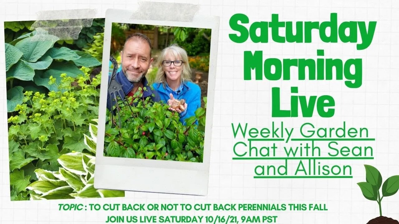 ☕ Should You Cut Back Your Perennials? | Saturday Morning LIVE Garden Chat ☕