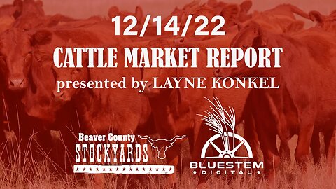 12/14/22 Beaver County Stockyards Cattle Market Report