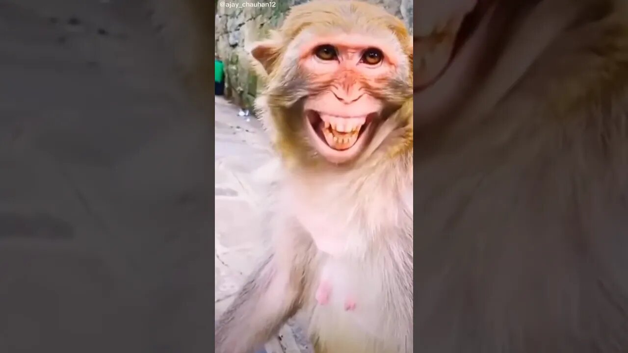 #youtubevideo #funny #comedyshorts #funnycomedy #comedyexclusive #shots